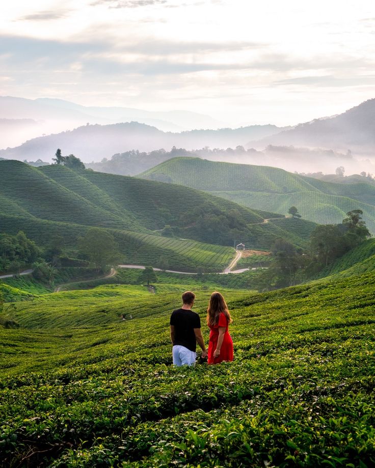 Munnar Kerala packages